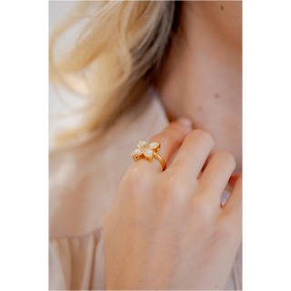 ANILLOS