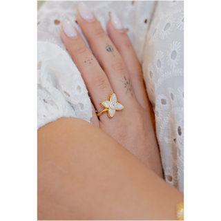 ANILLOS